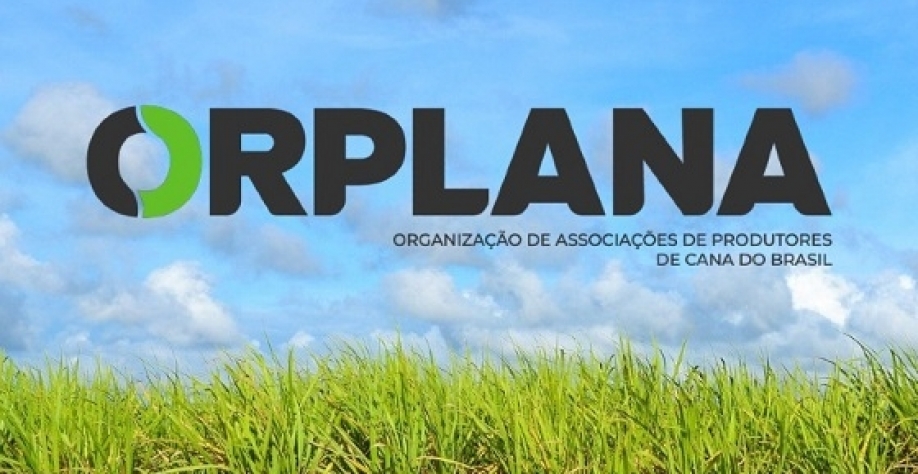 Preços baixos do açúcar deixam produtores de cana encurralados