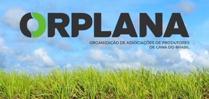 Preços baixos do açúcar deixam produtores de cana encurralados