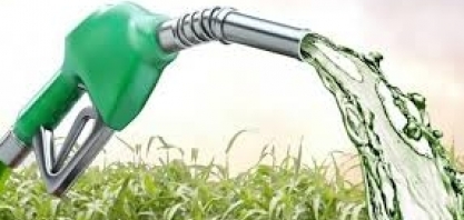 Etanol: Hidratado sobe 0,92% e anidro 1,24% na semana nas usinas de SP