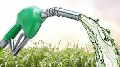 Etanol: Hidratado sobe 0,92% e anidro 1,24% na semana nas usinas de SP