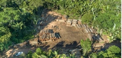 Parlamento Europeu adia lei antidesmatamento por mais um ano