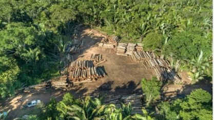 Parlamento Europeu adia lei antidesmatamento por mais um ano