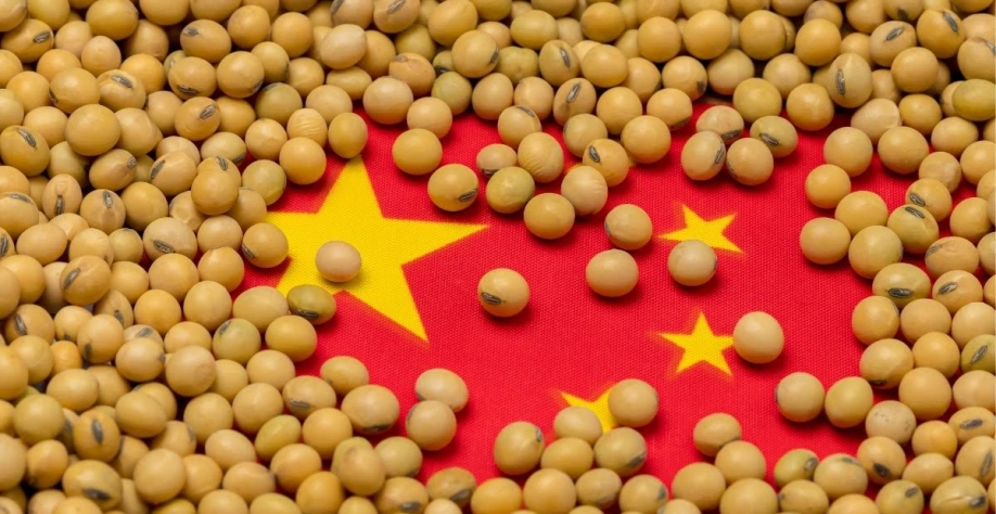 China ajuda os EUA, mas tarifas de 13% mantêm vantagem da soja brasileira
