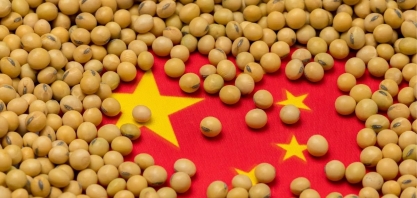 China ajuda os EUA, mas tarifas de 13% mantêm vantagem da soja brasileira