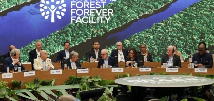 Fundo de Florestas chega a US$ 5,6 bi, menos de um 1/4 da meta