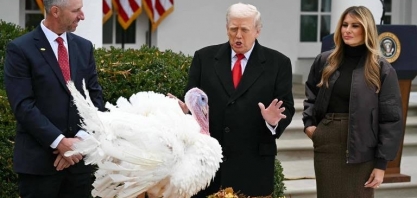 EUA não conseguem controlar a gripe aviária, e doença avança