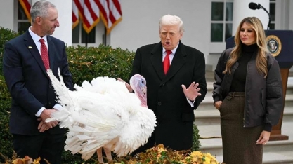 EUA não conseguem controlar a gripe aviária, e doença avança