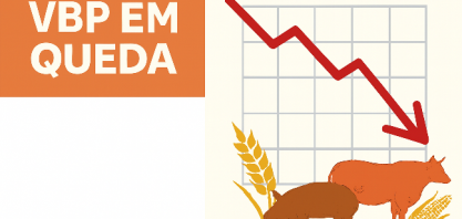 Valor bruto da produção agropecuária cai no campo no próximo ano