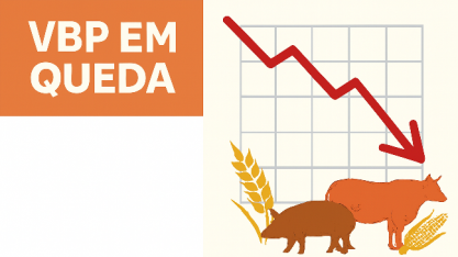 Valor bruto da produção agropecuária cai no campo no próximo ano