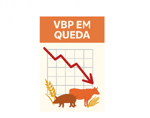 Valor bruto da produção agropecuária cai no campo no próximo ano