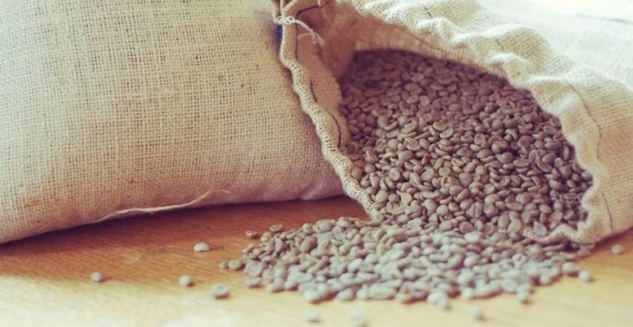 Exportações de café para os EUA devem se normalizar em seis meses