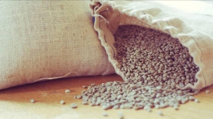 Exportações de café para os EUA devem se normalizar em seis meses