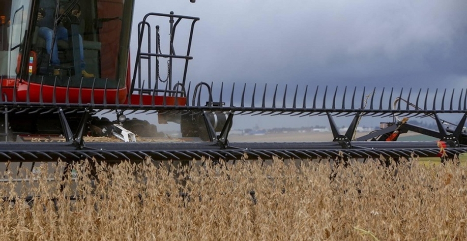 Margens apertadas na lavoura de soja preocupam; custo de 64 sacas por ha