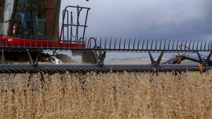 Margens apertadas na lavoura de soja preocupam; custo de 64 sacas por ha