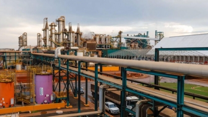 CerradinhoBio deixa IPO em aberto e milho já representa 80% do etanol