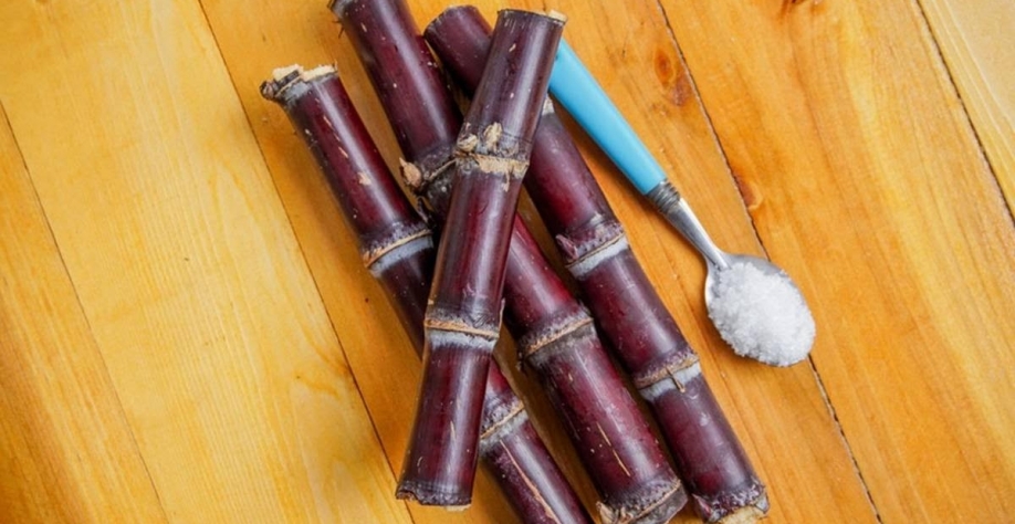 Exportações agropecuárias para os EUA têm queda de 31,3% com tarifaço