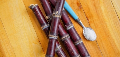 Exportações agropecuárias para os EUA têm queda de 31,3% com tarifaço