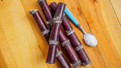 Exportações agropecuárias para os EUA têm queda de 31,3% com tarifaço