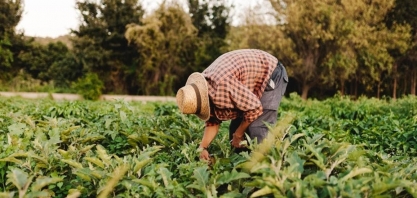Agro enfrenta escassez de profissionais dentro e fora da fazenda