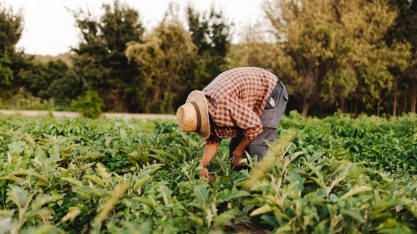 Agro enfrenta escassez de profissionais dentro e fora da fazenda