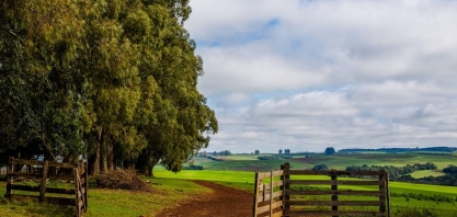 IBGE: Por dificuldade de orçamento, coleta do Censo Agro só começa em 2027