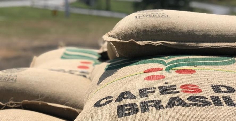 Exportações de café do Brasil caíram 26,7% em novembro