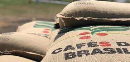 Exportações de café do Brasil caíram 26,7% em novembro
