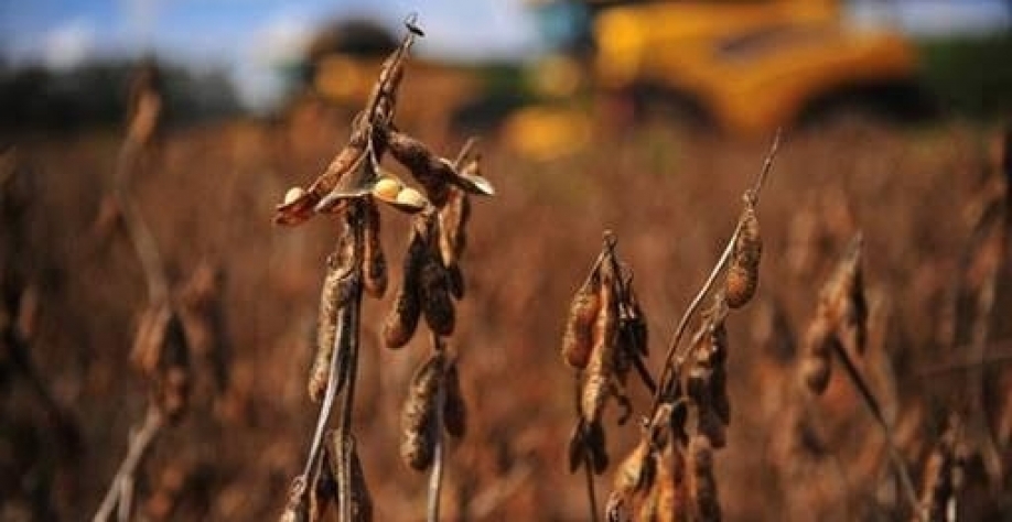  Renegociação de dívidas: Governo inclui safra 2024/25 e frustra produtores