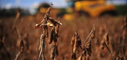  Renegociação de dívidas: Governo inclui safra 2024/25 e frustra produtores