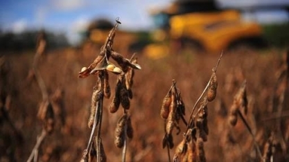  Renegociação de dívidas: Governo inclui safra 2024/25 e frustra produtores