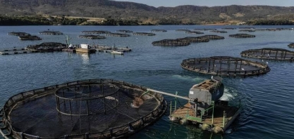 Pressão faz governo suspender lista com 444 espécies exóticas invasoras