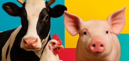 Perspectiva para 2026 repete o cenário de preço das carnes deste ano