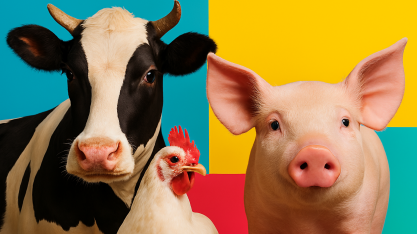 Perspectiva para 2026 repete o cenário de preço das carnes deste ano