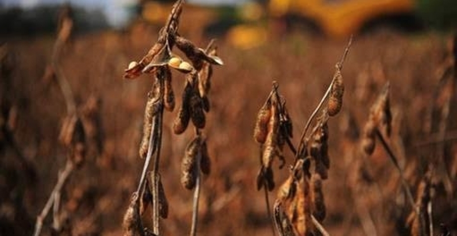 Fazenda admite ajustes, mas não confirma nova MP para dívidas