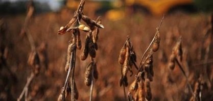 Fazenda admite ajustes, mas não confirma nova MP para dívidas
