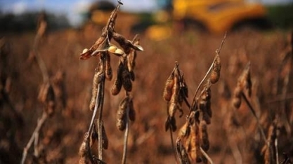 Fazenda admite ajustes, mas não confirma nova MP para dívidas