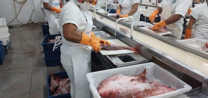Sem EUA, setor de pesca deixa de exportar US$ 250 milhões