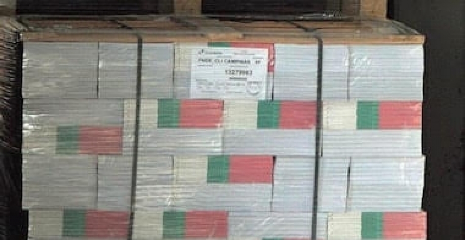 Atraso na compra de livros didáticos pelo governo gera incerteza a editoras