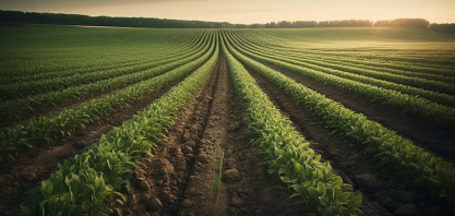 Com crédito curto e juro alto, produtor eleva autofinanciamento