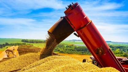 EUA fazem Brasil vender 109 mi de t de soja e China importar 110 mi 