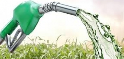 Etanol: Hidratado sobe 0,35% e anidro 1,76% na semana nas usinas de SP