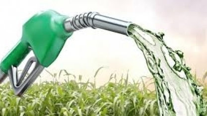 Etanol: Hidratado sobe 0,35% e anidro 1,76% na semana nas usinas de SP