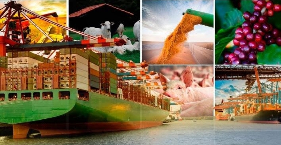 Mesmo com tarifaço, balança do agronegócio mantém ritmo recorde