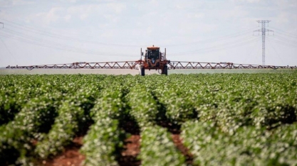 Recuperação judicial é o tema que mais afeta crédito do agronegócio