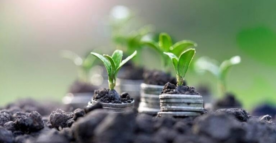 Bioinsumo pode trazer economia de até R$ 15,7 bilhões por safra de soja