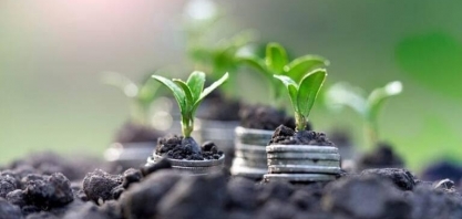 Bioinsumo pode trazer economia de até R$ 15,7 bilhões por safra de soja