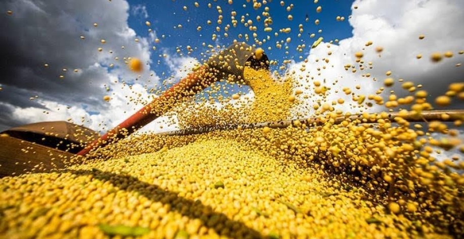 PIB do agro impulsiona outros setores, mas 2026 deve trazer desafios