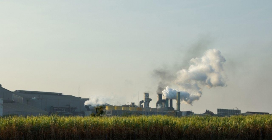 Mais um ciclo amargo: Citi projeta aperto para açúcar e etanol em 2026