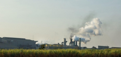 Mais um ciclo amargo: Citi projeta aperto para açúcar e etanol em 2026