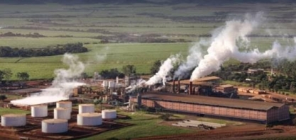 Jalles contrata R$ 200 mi com BNDES para amenizar efeitos do tarifaço